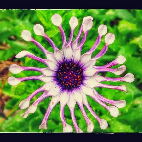 Meet your Posher, Stacie - Picture 1 of 1